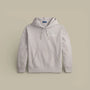 Sweat à Capuche Ralph Lauren - Gris Ralph Lauren